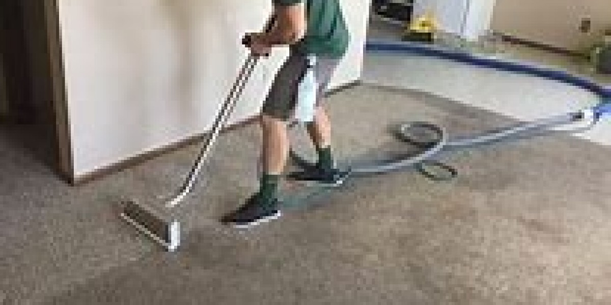 Discovering the Perks of Professional Carpet Cleaning