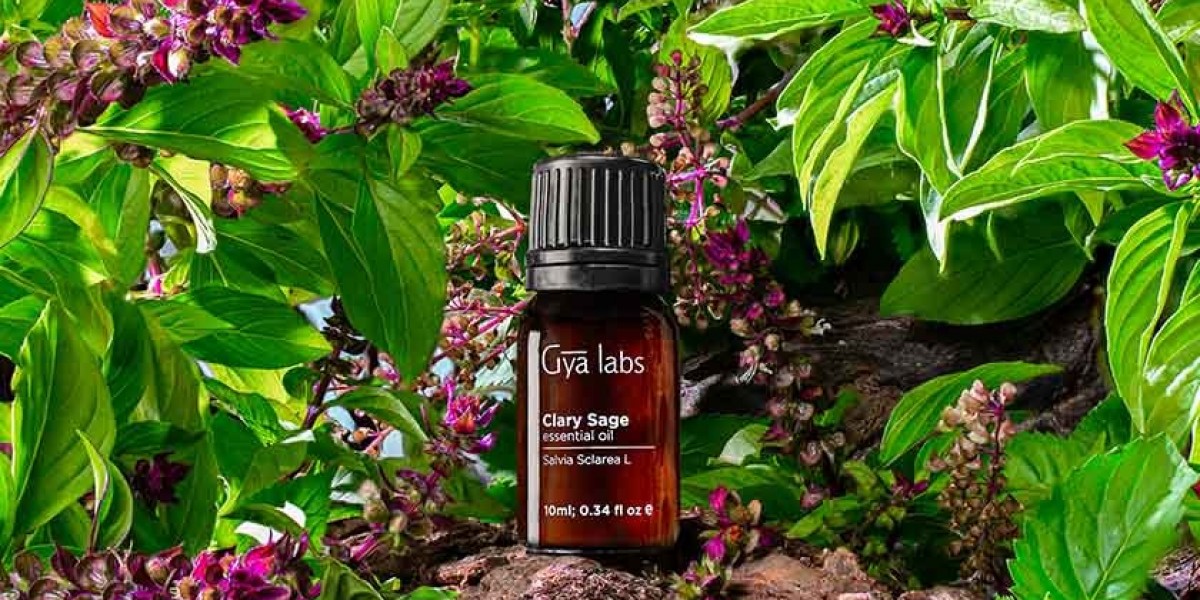 Discover the Best Clary Sage Oil for Sale: Elevate Your Well-Being