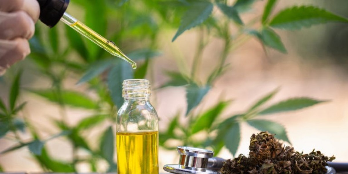 CBD Oil Market Trends and Regional Forecast by 2031