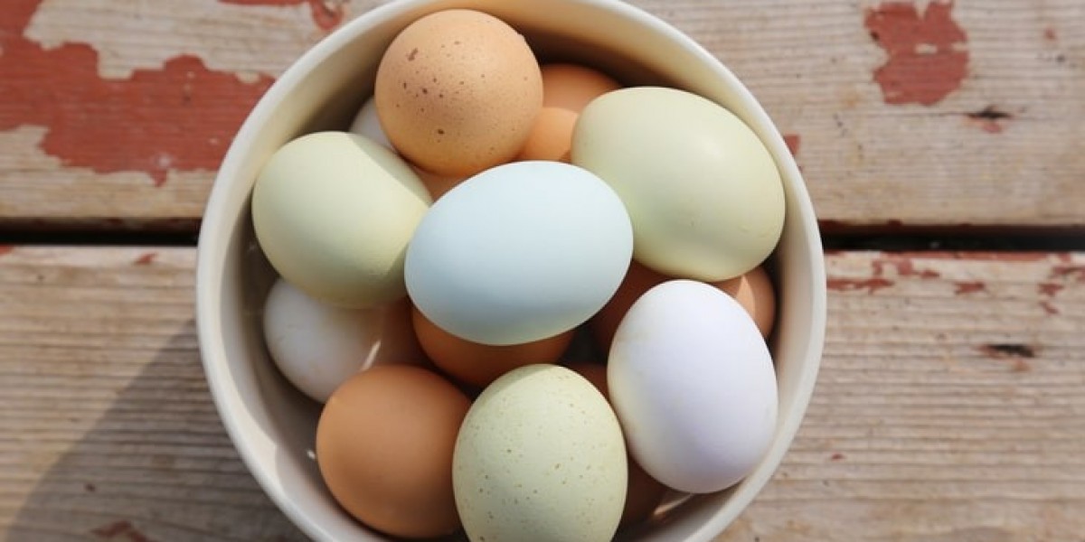 Buy Premium Fresh Eggs Online - Egge