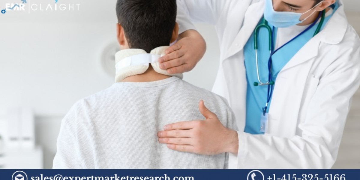 Spinal Cord Stimulation Market Size, Share, Trends, Growth, Analysis, Report and Forecast 2024-2032