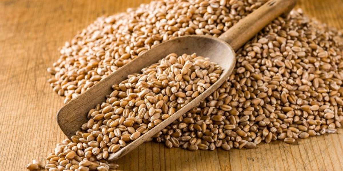 Wheat Protein Market Size, Share | Industry Report Analysis 2032