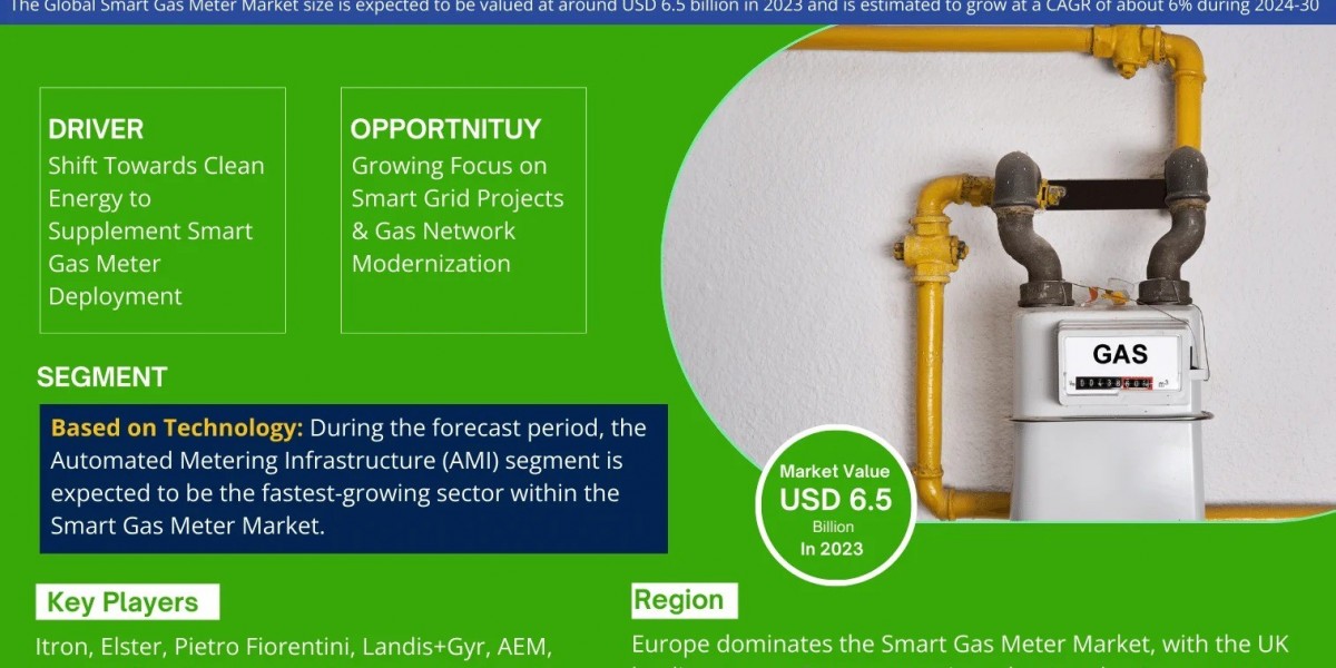 Smart Gas Meter Market Trends, Opportunity, Demand, Development and Forecast to 2030