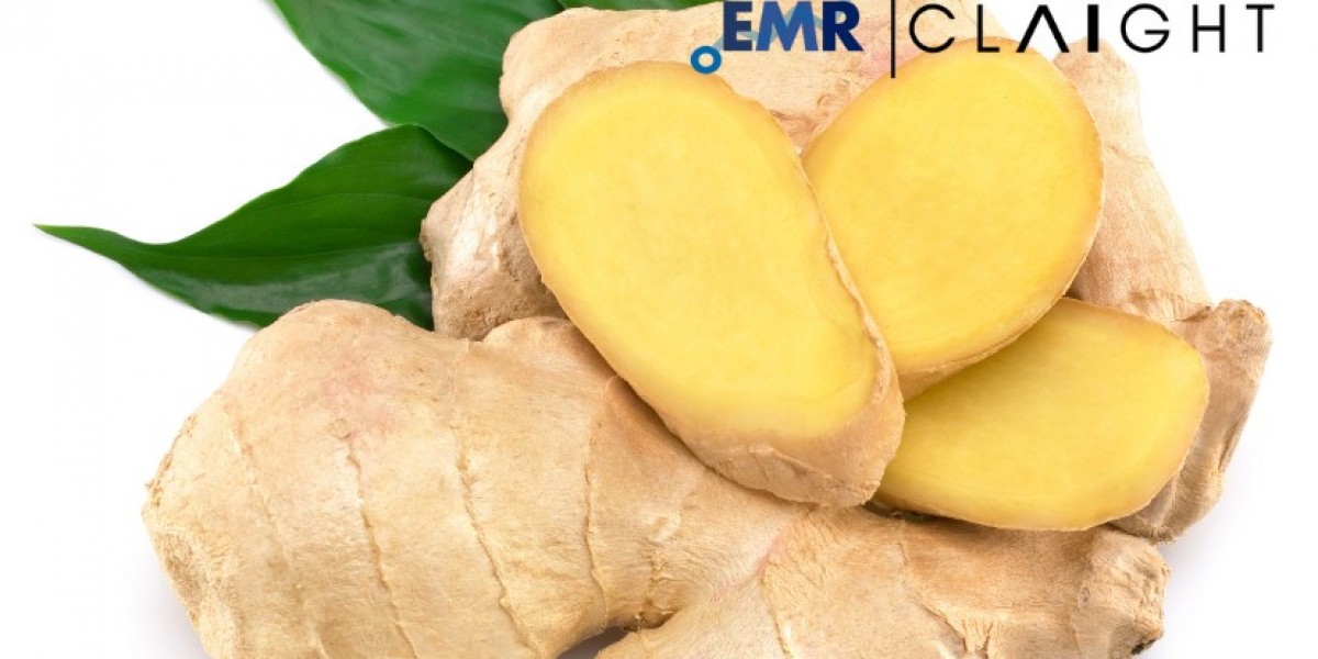 The Global Ginger Processing Market: Growth, Trends, and Insights