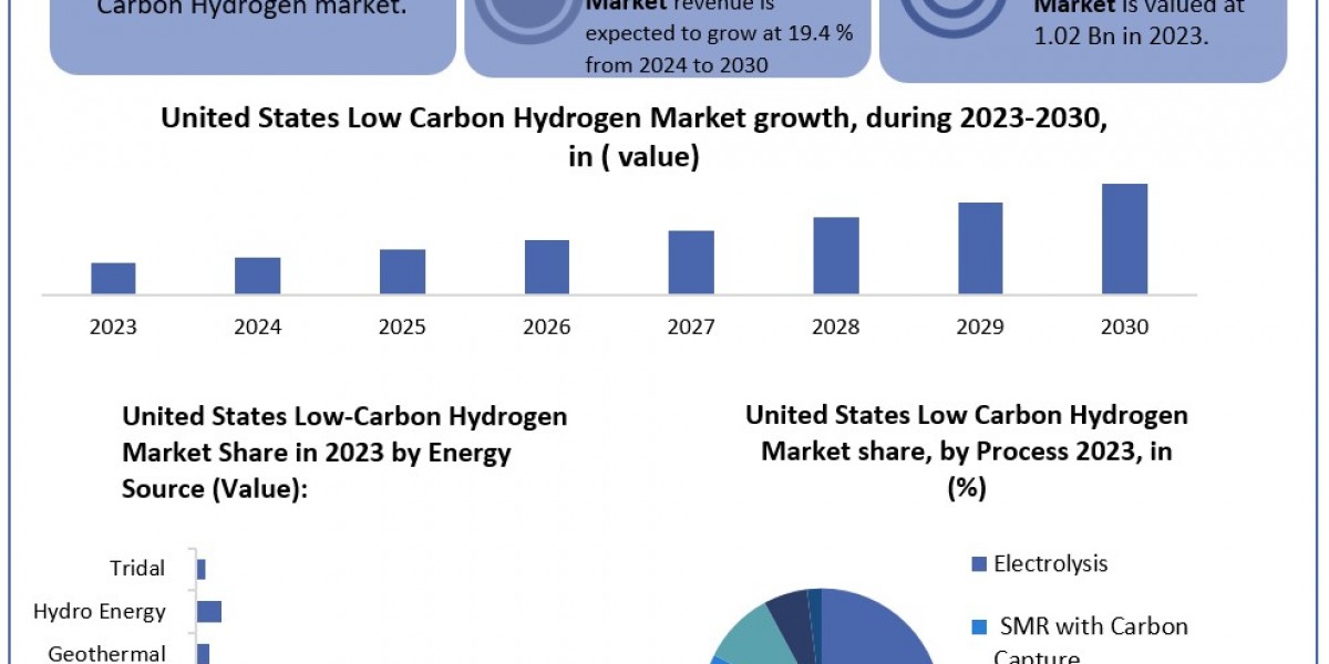 United States Low-Carbon Hydrogen Market Growth, Trends, Wireless Networking Market 2030