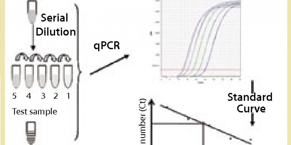 Yeast DNA Residue Assay Kits (qPCR) for Biological Research