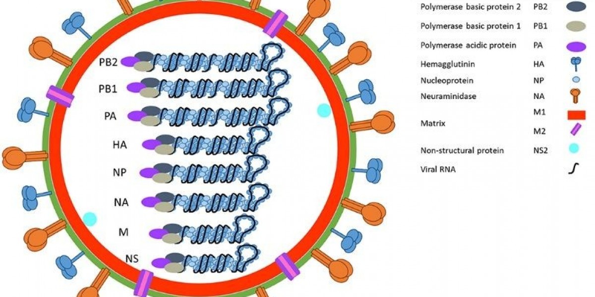 Influenza A Virus Mouse Models for Accelerated Research