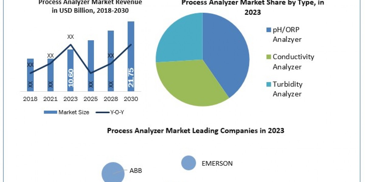 Process Analyzer Market  Growth, Industry Trend, Sales Revenue, Size by Regional Forecast to 2024-2030