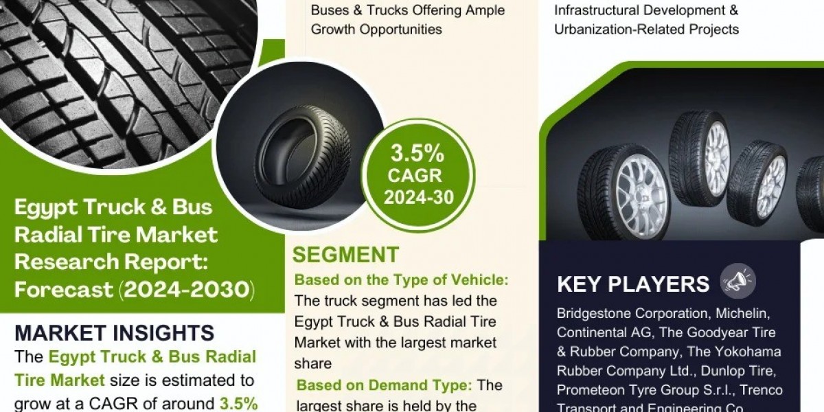 Egypt Truck & Bus Radial Tire Market Analysis 2030 - Unveiling Size, Share, Growth, Trends, and Industry Insights