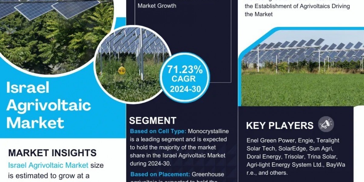 Israel Agrivoltaic Market 2024-2030: Industry Trends and Growth Analysis