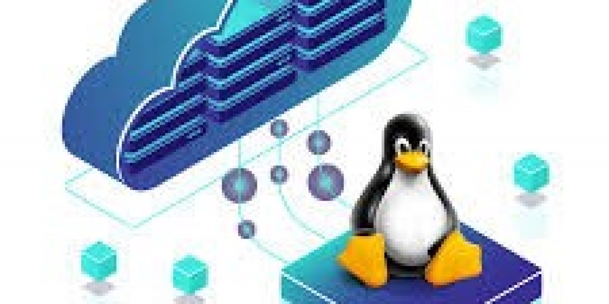 Linux-Based VPS Hosting: A Game-Changer for Online Success