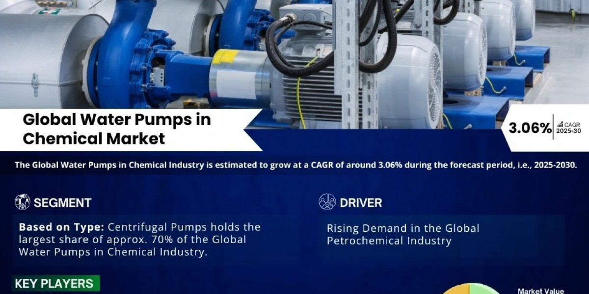 Projected 3.06% CAGR Growth for Water Pumps in Chemical Market by 2030