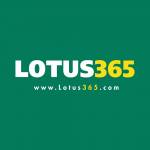 Lotus 365 Profile Picture