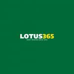 Lotus Profile Picture