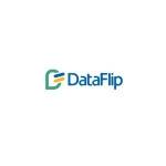 Data Flip profile picture