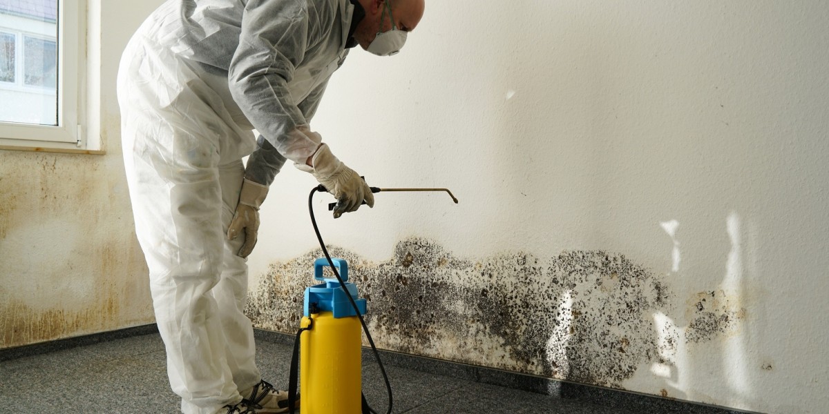 Fire and Water Damage Restoration: Expert Solutions for Your Home