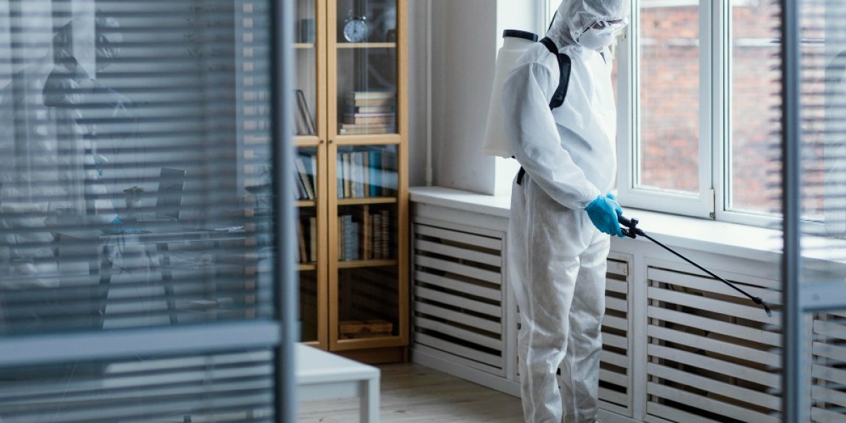 Pest Rodent Control Near Me How to Keep Your Home Safe from Infestations